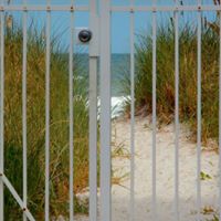 Terri Mayfield Photo 33