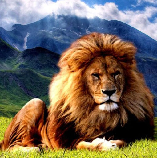 Lisa Workman Photo 37