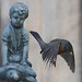 Robin Littleton Photo 16