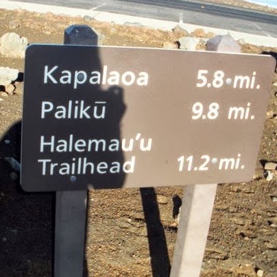 Pam Elliott Photo 16