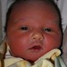 Ann Kelly Photo 16