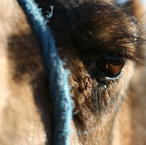 Jane Cherry Photo 20