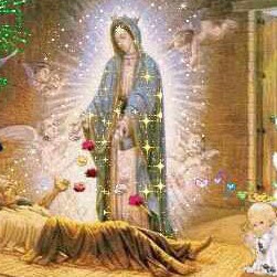 Jose Nevarez Photo 21