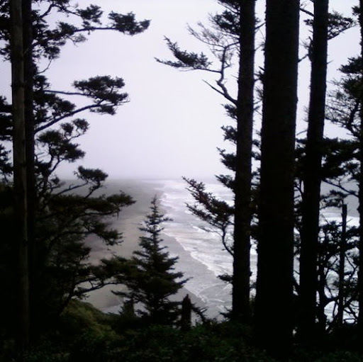 Christina Gibbs Photo 13