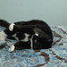 Mandy Whiting Photo 16