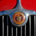 Roy Schrader Photo 12