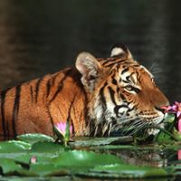 Debra Gunn Photo 16