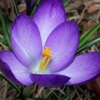 Cheryl Billings Photo 13