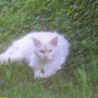 Melissa Cagle Photo 7