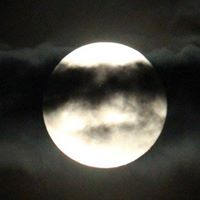 Kelley Gunter Photo 7