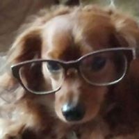 Polly Clark Photo 18