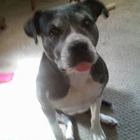 Robert Geertz Photo 2