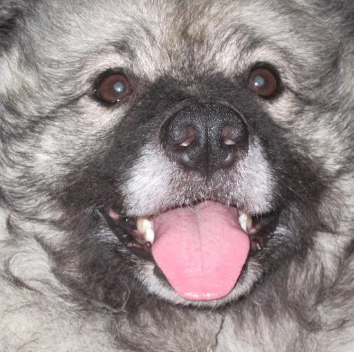 Bonnie Duncan Photo 32