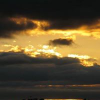 Michael Lawson Photo 37