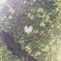 Tracey Quist Photo 3