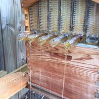 Keith Ingram Photo 9