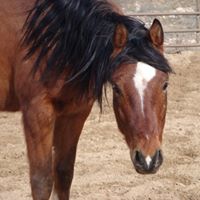 Sandy Smallwood Photo 11