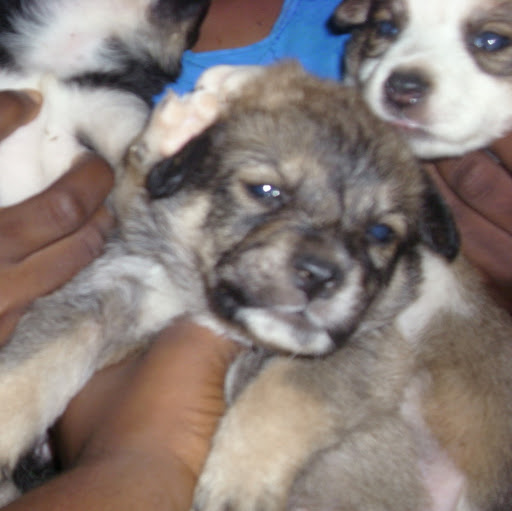 Latanya Stephens Photo 13