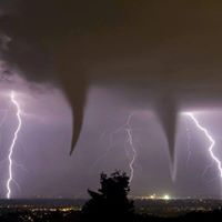 Tracy Lilly Photo 18