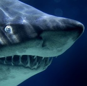 Matthew Mcbride Photo 29