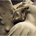 Elizabeth Angel Photo 32