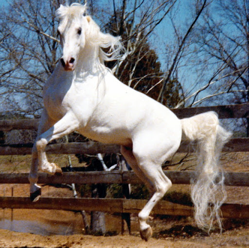 April Johnson Photo 19