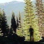 Kent Maynard Photo 16