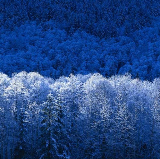 Beena Mathew Photo 20