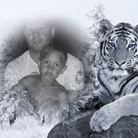 Daniel Lang Photo 48