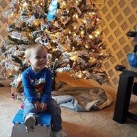 Shane Whittaker Photo 22