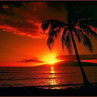 Susan Winter Photo 21