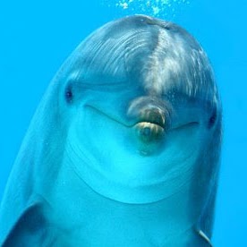 Thomas Hendrick Photo 19 Thomas Hendrick Photo 19