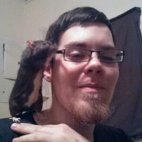 Tracey Austin Photo 13