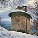 Peter Rotondo Photo 3