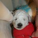 Michelle Pappas Photo 10