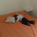 Cristina Gonzales Photo 11