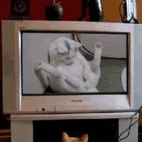 Candy Jennings Photo 20