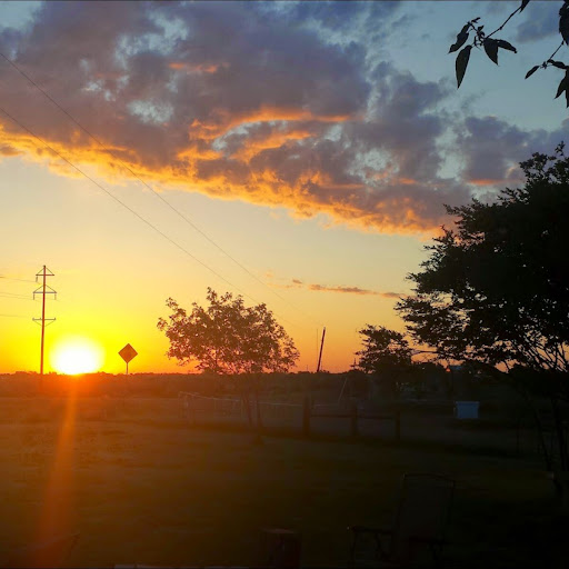 Stacie Lewis Photo 8