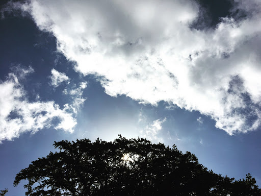 Angela Unger Photo 11