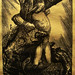 David Alfaro Photo 33
