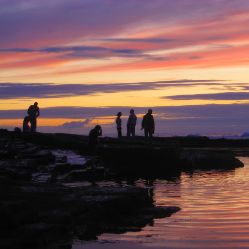 Maria O'Brien Photo 16