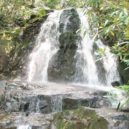 Suzanne Keller Photo 23