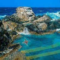 Rodney Webb Photo 15