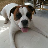 Debbie Murphy Photo 14