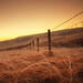 Thomas Edge Photo 22