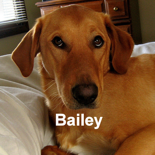 Shawn Dougherty Photo 34 Shawn Dougherty Photo 34