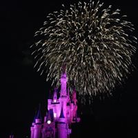 Cathy Collier Photo 16