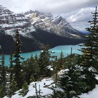 Le Tang Photo 27