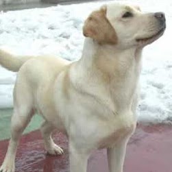 Norma Maria Photo 11