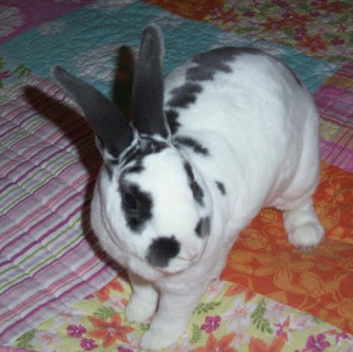 Michelle Cone Photo 2